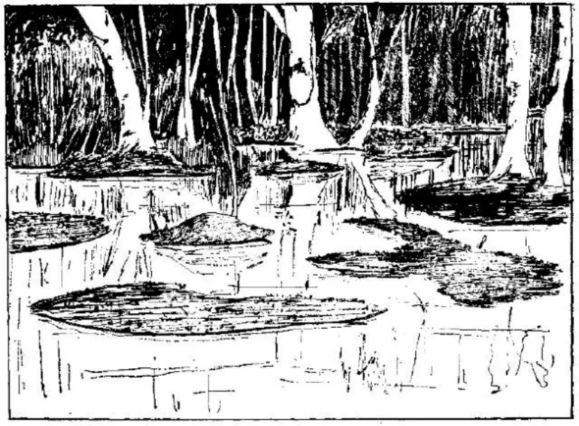 盤點(diǎn)各類地質(zhì)地貌類型-地?zé)豳Y源開發(fā)-地大熱能